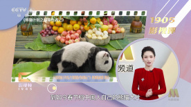 538国产精品一区二区在线
